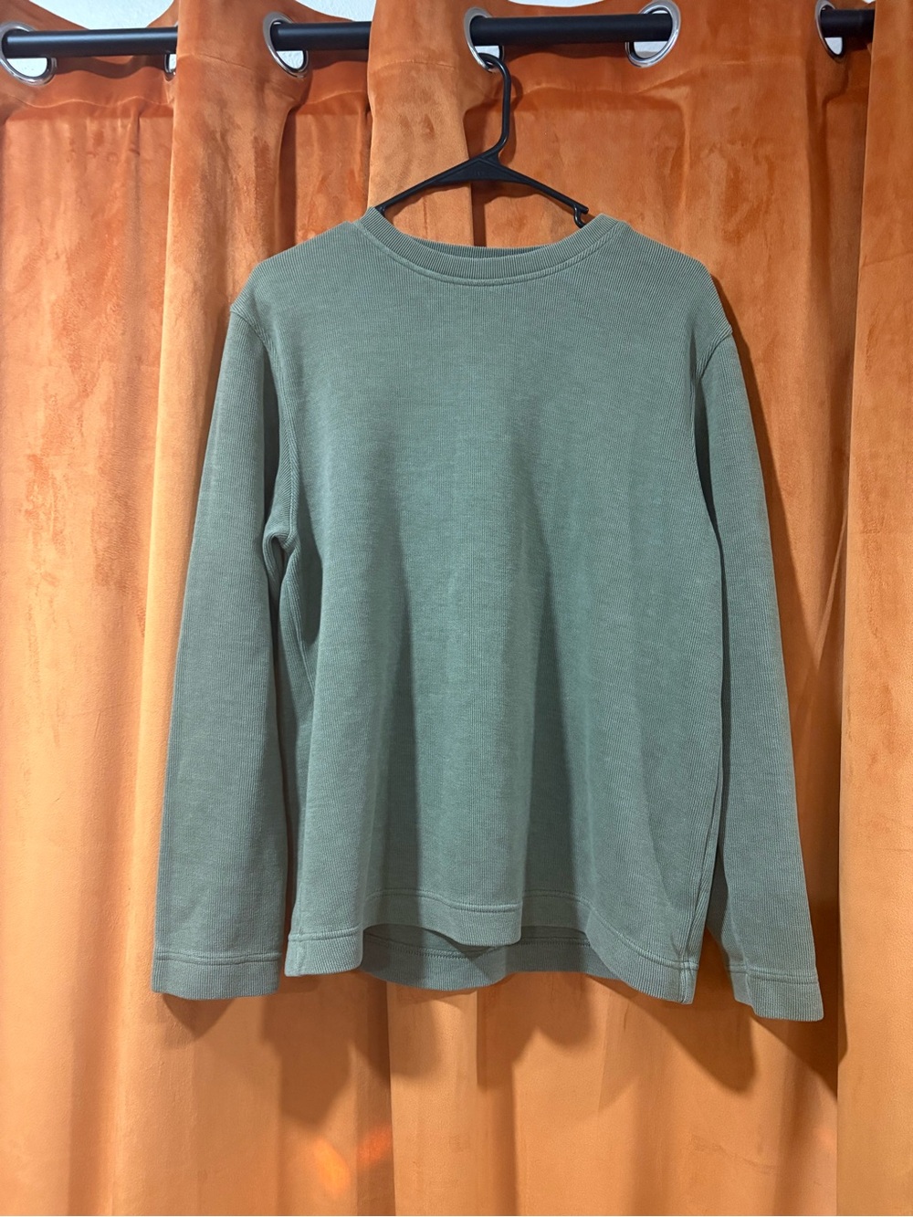 GAP Men's Crewneck Long Sleeve Shirt in Sage